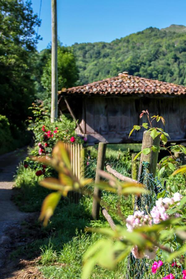 Casa Clarita Villa Cano Bagian luar foto